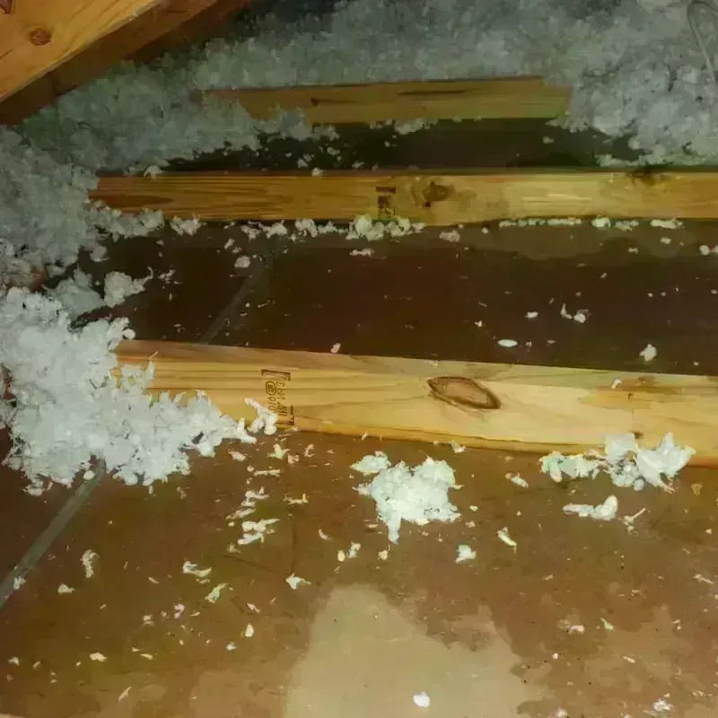 Attic Water Damage in Villa Park, CA